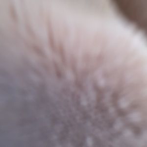 Meet your Posher, Keefer